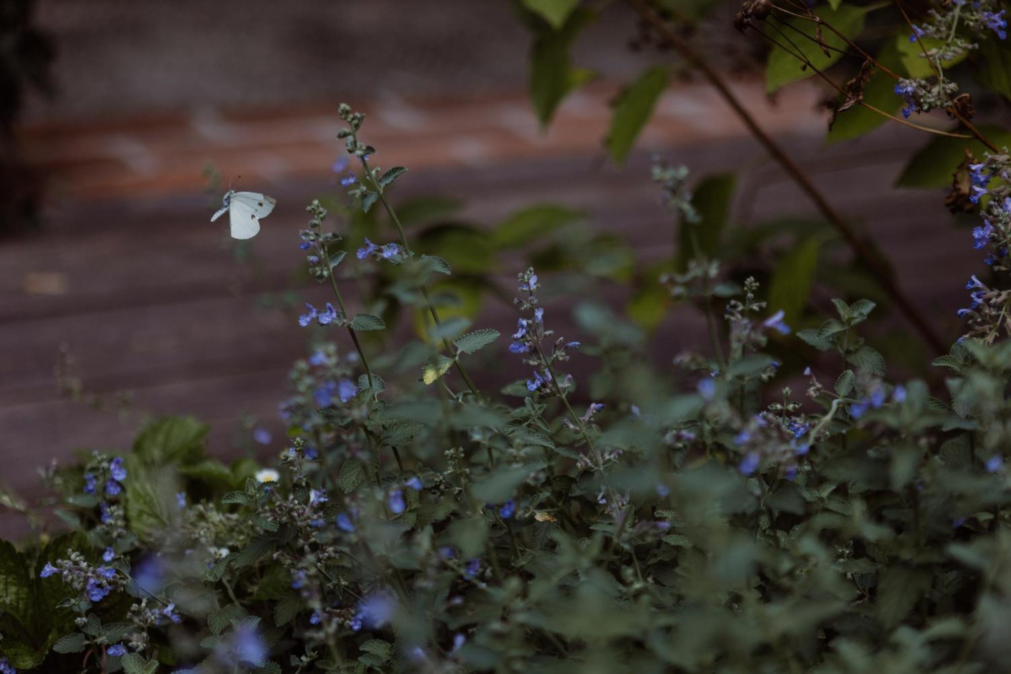 Casa Toma - Luxury Garden House Bed and Breakfast Arzignano Buitenkant foto