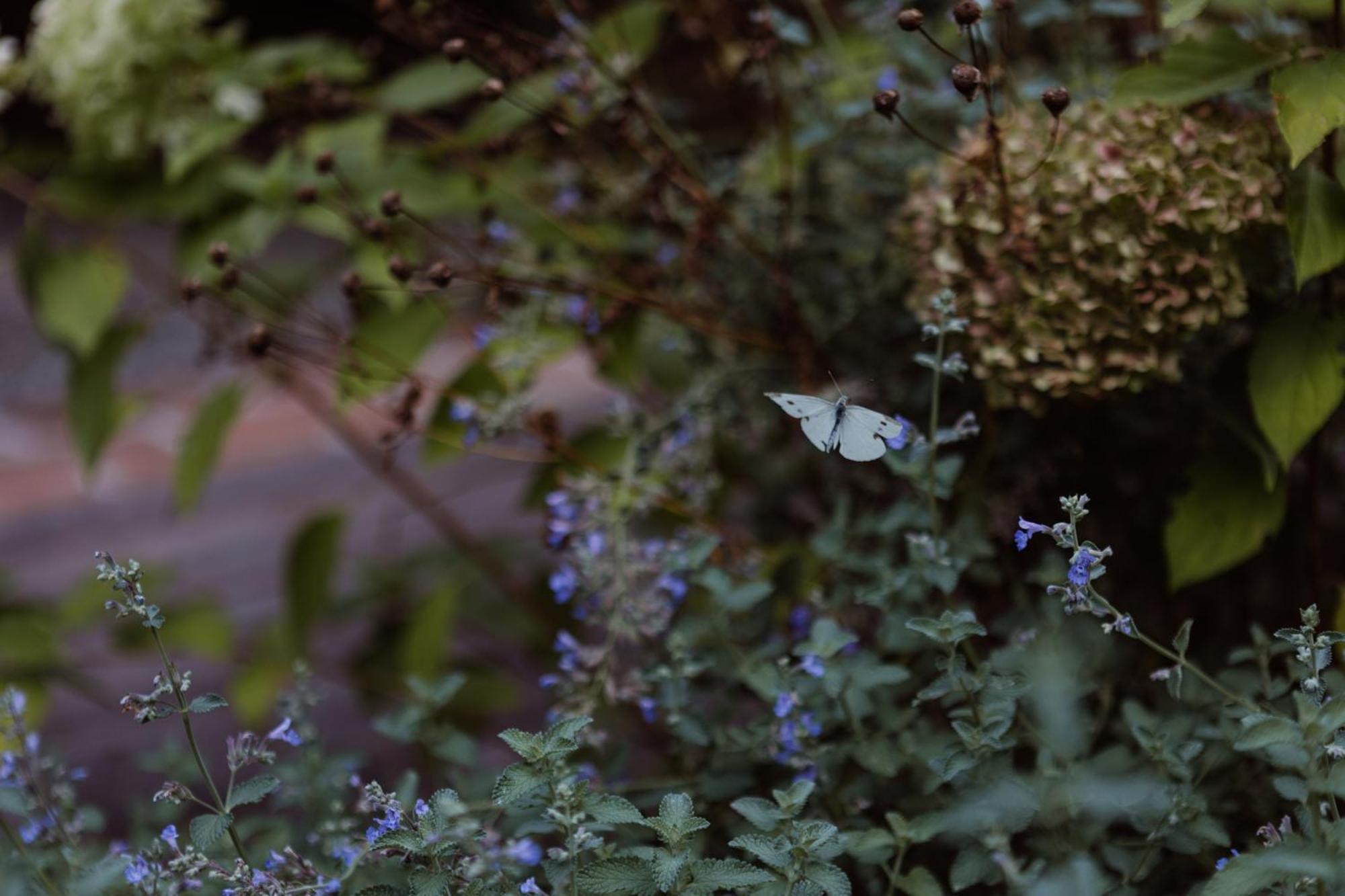 Casa Toma - Luxury Garden House Bed and Breakfast Arzignano Buitenkant foto