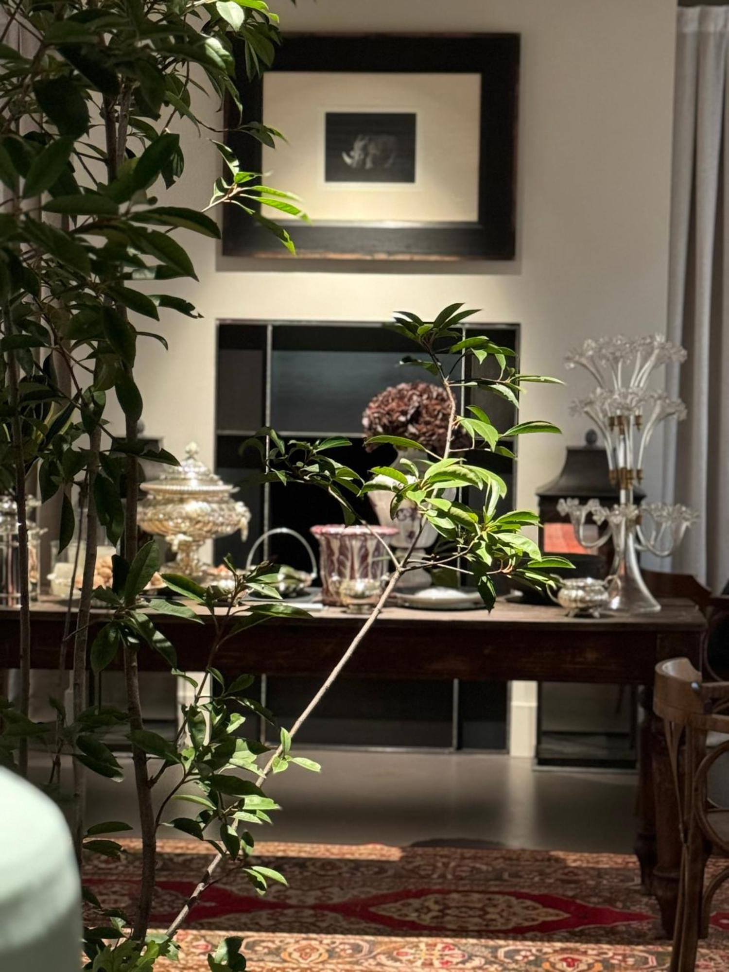 Casa Toma - Luxury Garden House Bed and Breakfast Arzignano Buitenkant foto